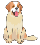 dog - Saint Bernard